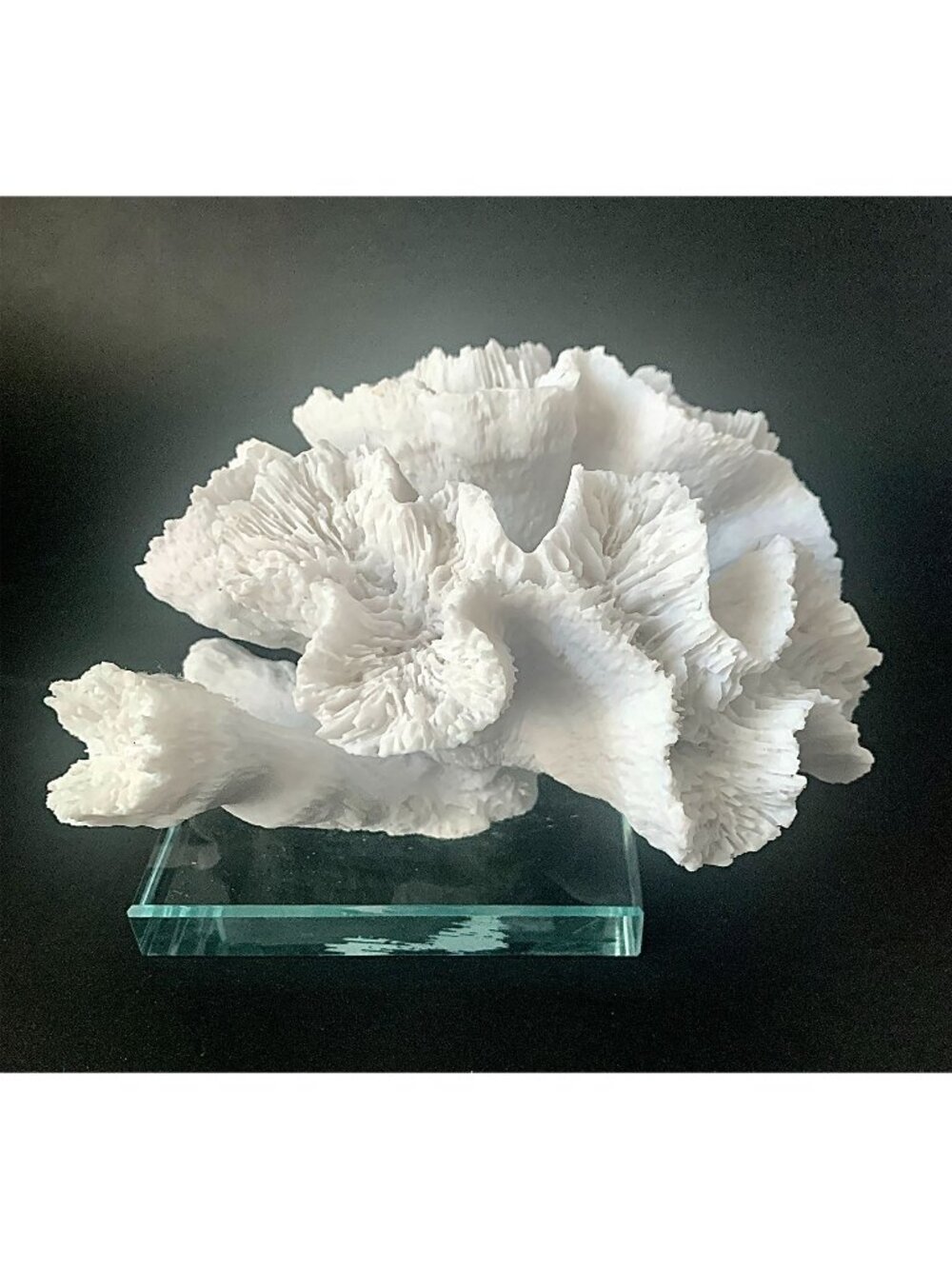 White Polystone Textured Coral Sculpture with Clear Acrylic Paperweight